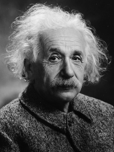 Albert Einstein Head