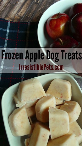 DIY Frozen Apple Dog Treat Recipe by IrresistiblePets com thumb