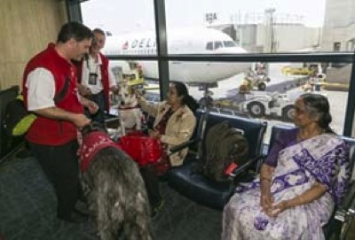 DOGS at US airport 295 21