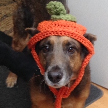 Sara  Pumpkin Hat