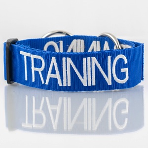 Training Collar EKP 9735