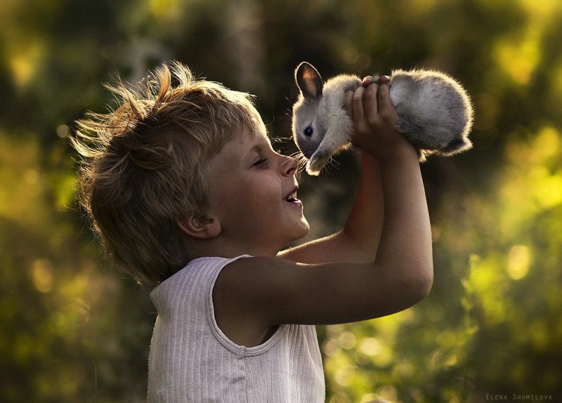 Animal children photography elena shumilova 11