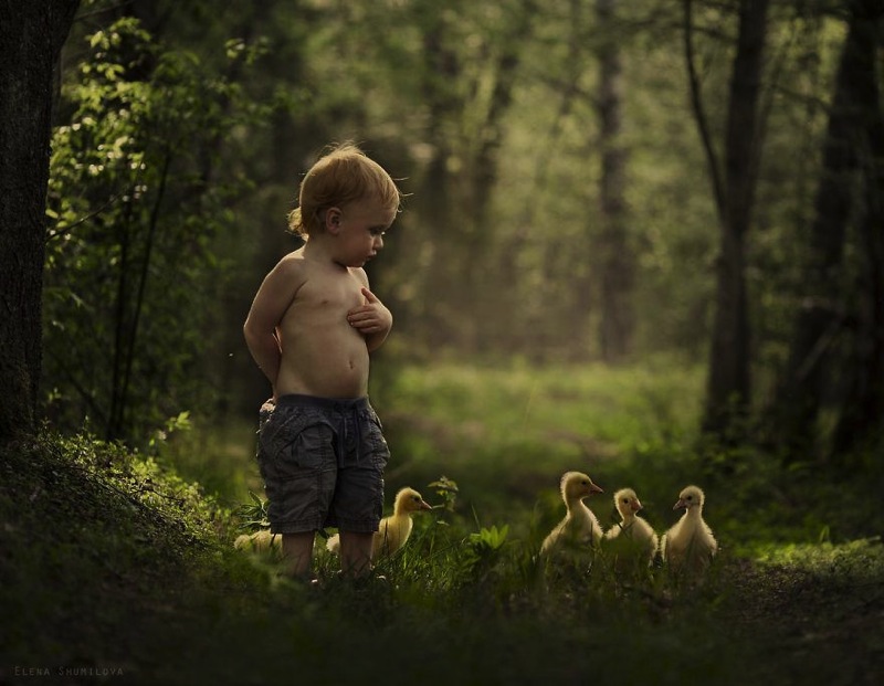 Animal children photography elena shumilova 12