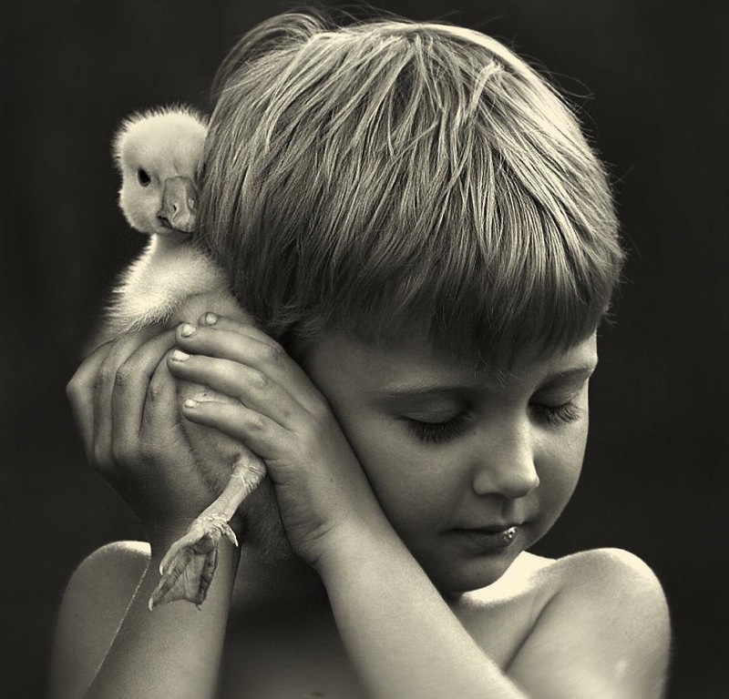 Animal children photography elena shumilova 16
