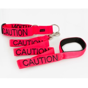 Caution Lead+Collar EKP 9659copy Copy
