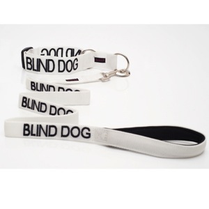 Blind dog DSC 58352