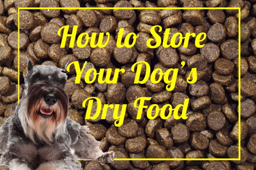 Dog food storage