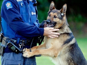 Epic police dog 2 3 4 N2