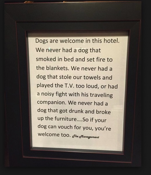 Hotel funny dog note