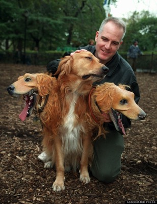 O THREE HEADED DOG COSTUME 570