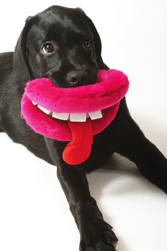 Pet toy grinning lips