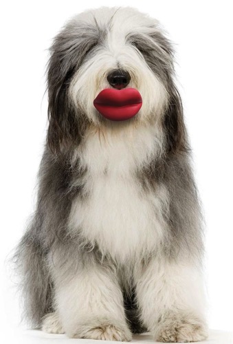 Pet toy lips