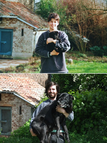 Pets before after 7 1