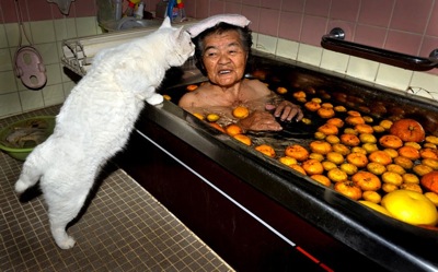 Woman cat bath 2407642k