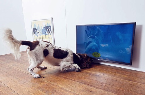 World first dog art exhibition dominic wilcox london 7