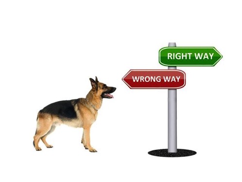 Wrong way