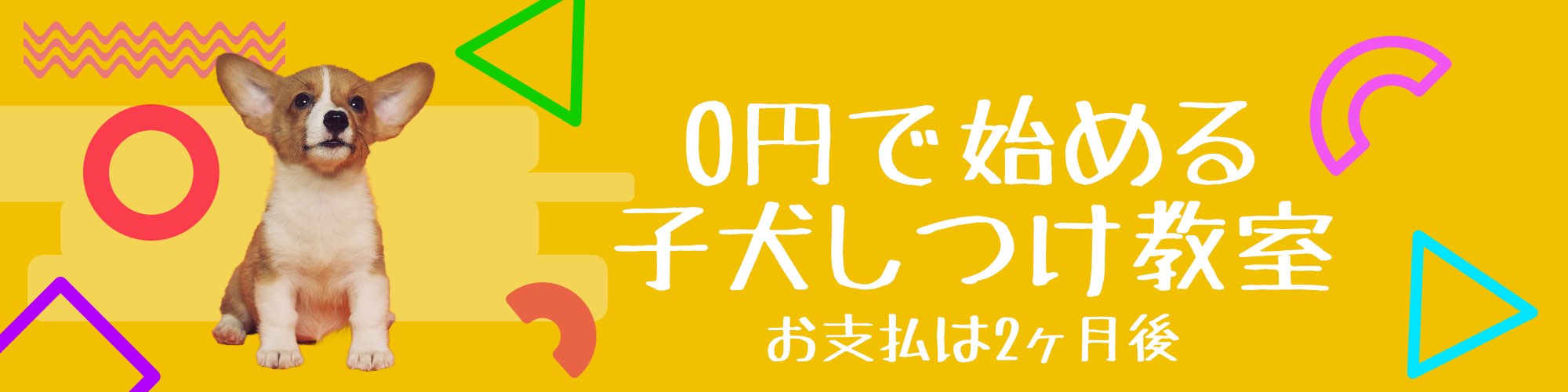 topbannerpaylater_2020-01-24 14-59-50